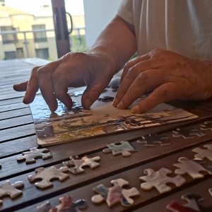 Rompecabezas Neurorrehabilitación SKÁL Fisioterapia
