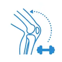Fisioterapia Deportiva - Icono