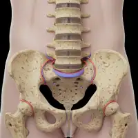Hernia Discal Mitos - SKÁL Fisioterapia Santa Ana